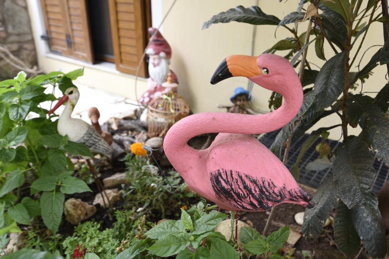 Anemos Old Town Apartment Kavála ภายนอก รูปภาพ